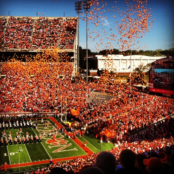 Meet your Posher, Kathryn - Picture 1 of 1